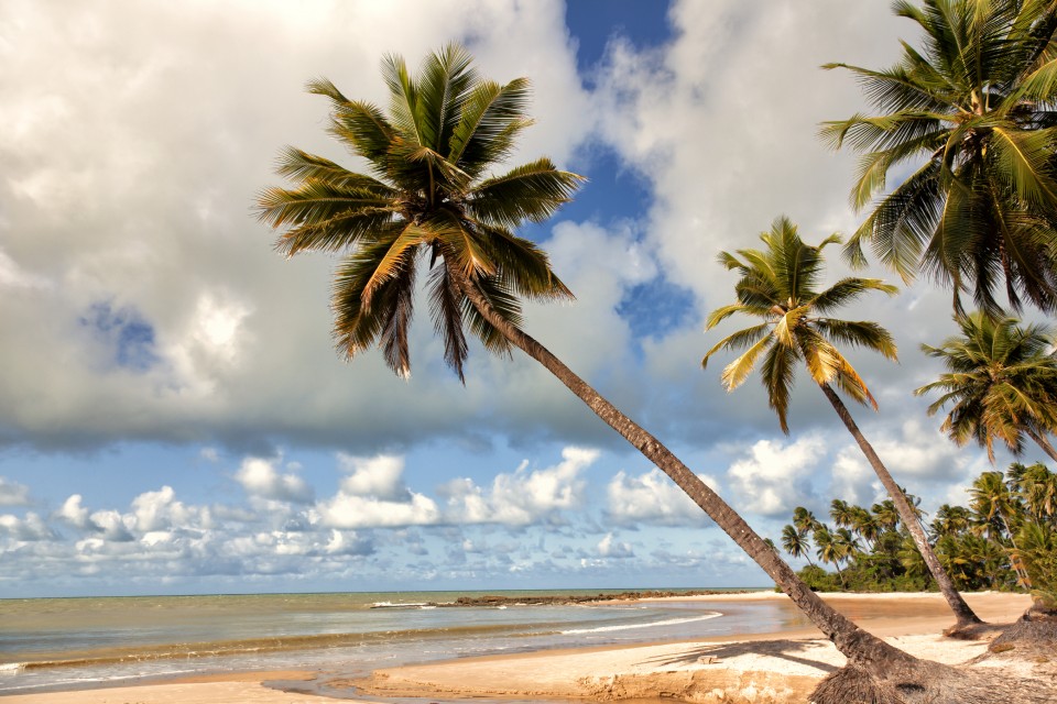 Paraíba onde o sol nasce primeiro BLOG GEDORE BRASIL