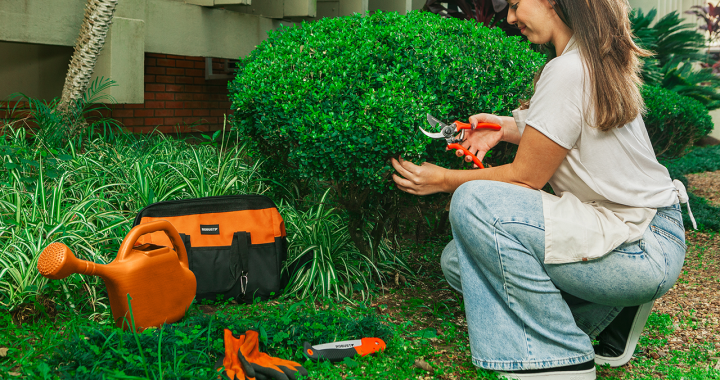 5 benefícios da jardinagem para a saúde e bem-estar